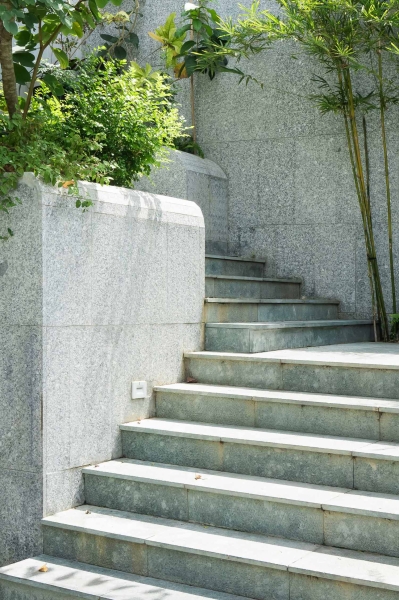 Plants Cascade Down The Exterior Of This New Home