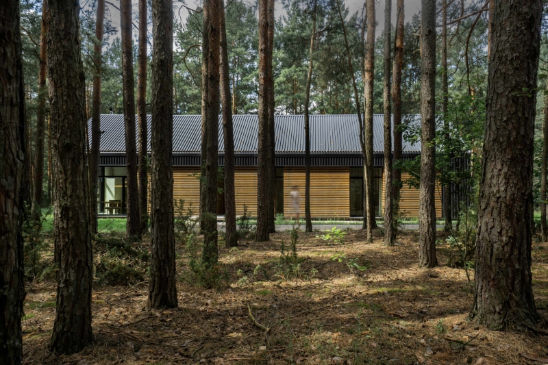A Large Operational Screen Invites The Forest Views Into This Modern Home