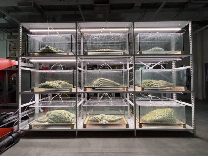 Canada Explores Regenerative Futures with ‘Picoplanktonics’ at the 2025 Venice Architecture Biennale