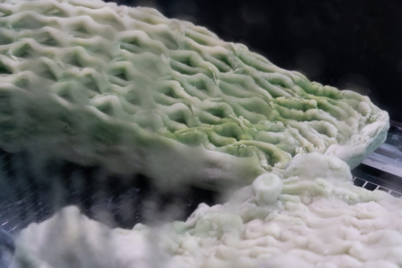 Canada Explores Regenerative Futures with ‘Picoplanktonics’ at the 2025 Venice Architecture Biennale
