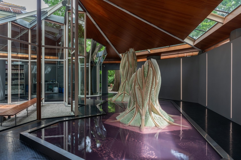 Canada Explores Regenerative Futures with ‘Picoplanktonics’ at the 2025 Venice Architecture Biennale