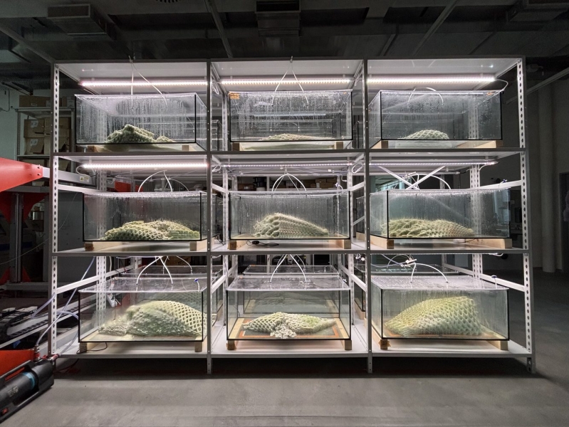 Canada Explores Regenerative Futures with ‘Picoplanktonics’ at the 2025 Venice Architecture Biennale