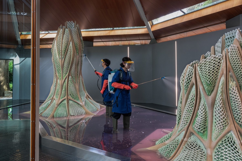 Canada Explores Regenerative Futures with ‘Picoplanktonics’ at the 2025 Venice Architecture Biennale