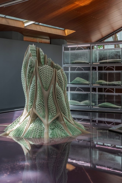 Canada Explores Regenerative Futures with ‘Picoplanktonics’ at the 2025 Venice Architecture Biennale