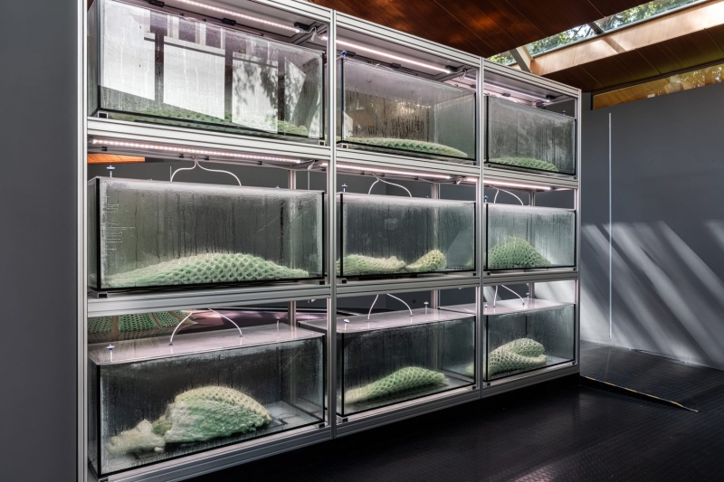 Canada Explores Regenerative Futures with ‘Picoplanktonics’ at the 2025 Venice Architecture Biennale