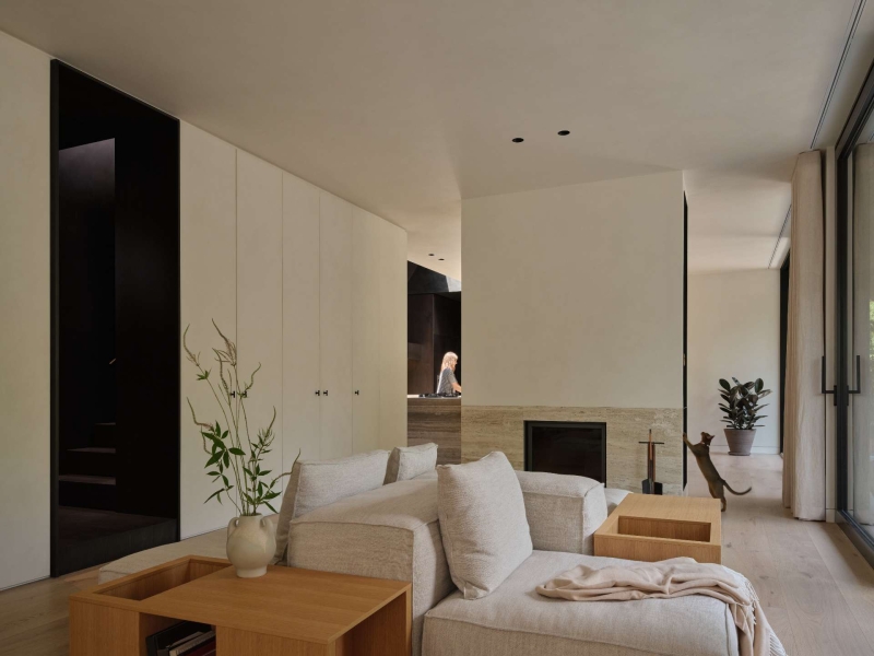 Dark Meets Light in This Moody, Skylit Toronto Home