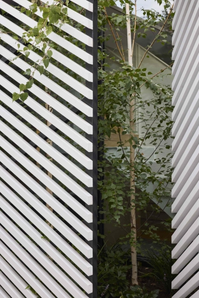 How A Wood Screen Turned This Home Extension Into A Design Showpiece