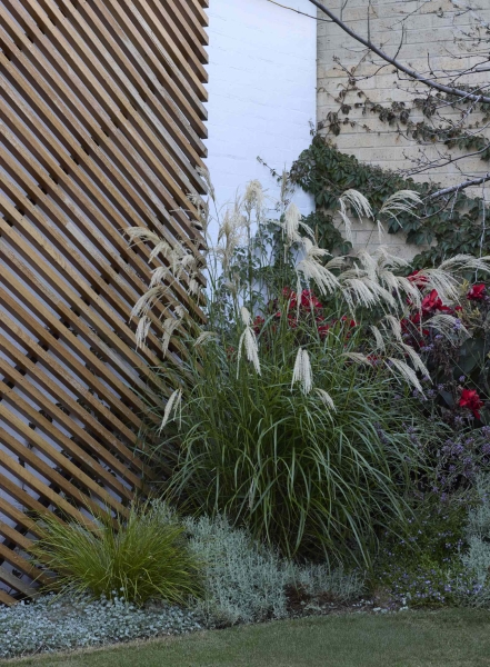 How A Wood Screen Turned This Home Extension Into A Design Showpiece