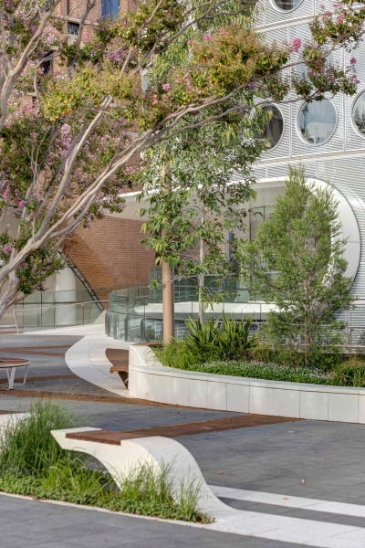 Round Windows Cover The Exterior Of This New Library