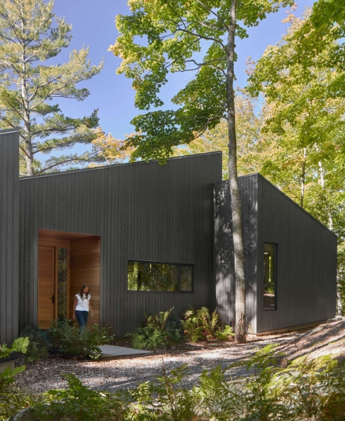 This Cabin Blends So Well With Nature, You Might Miss It