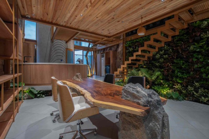 This house collects rainwater, grows trees indoors, and runs on solar power