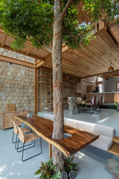 This house collects rainwater, grows trees indoors, and runs on solar power