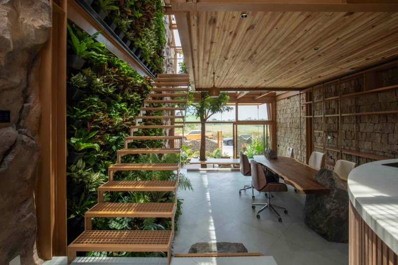 This house collects rainwater, grows trees indoors, and runs on solar power