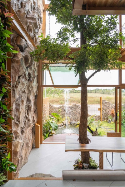 This house collects rainwater, grows trees indoors, and runs on solar power