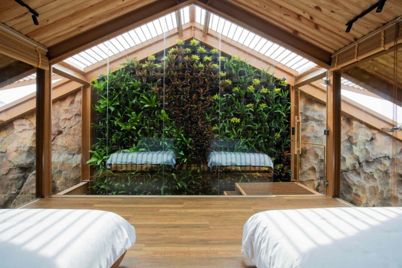 This house collects rainwater, grows trees indoors, and runs on solar power