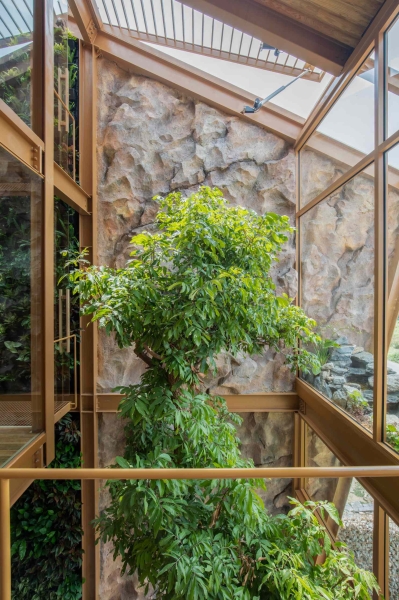 This house collects rainwater, grows trees indoors, and runs on solar power