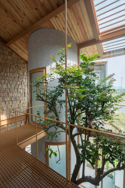 This house collects rainwater, grows trees indoors, and runs on solar power