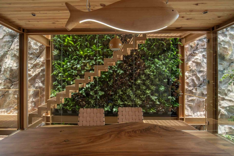 This house collects rainwater, grows trees indoors, and runs on solar power
