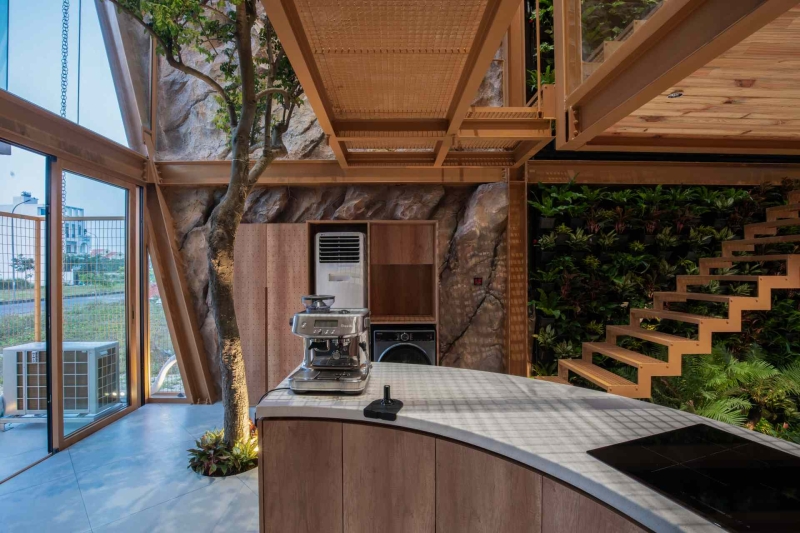 This house collects rainwater, grows trees indoors, and runs on solar power