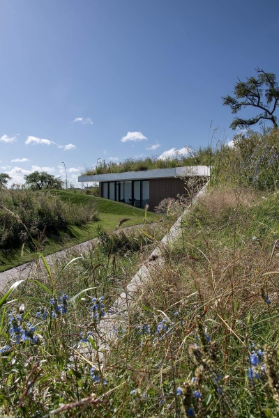 A Clubhouse That Grows from the Landscape