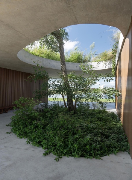 A Clubhouse That Grows from the Landscape