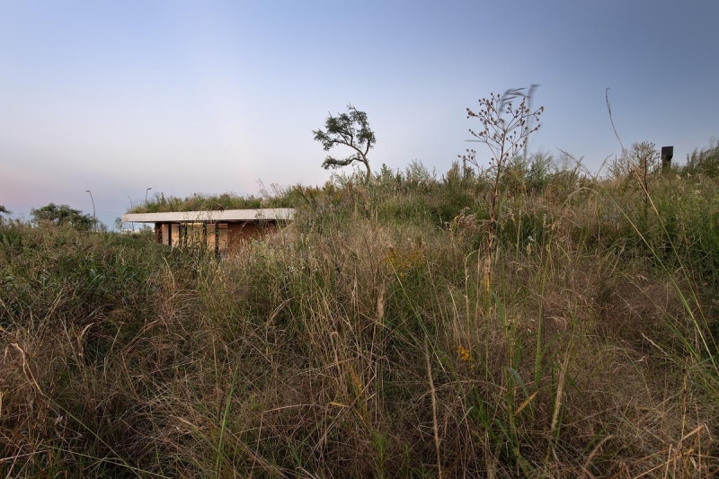 A Clubhouse That Grows from the Landscape