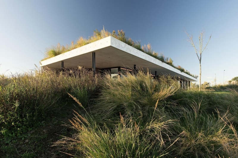 A Clubhouse That Grows from the Landscape
