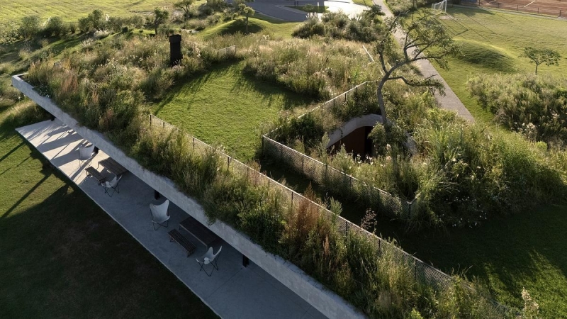 A Clubhouse That Grows from the Landscape