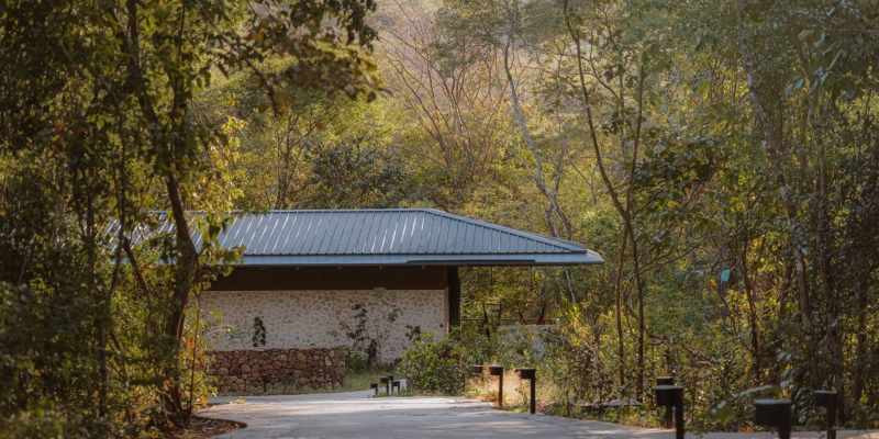 A Serene Costa Rican Retreat That Touches the Treetops