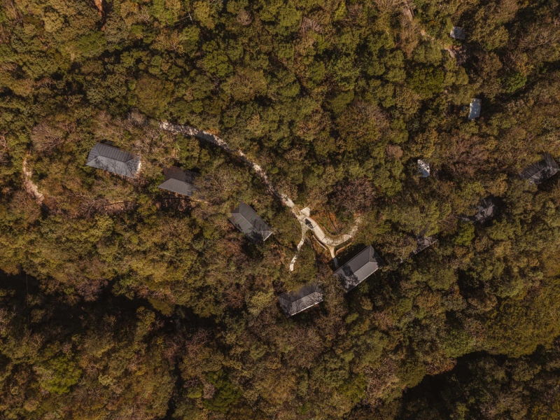 A Serene Costa Rican Retreat That Touches the Treetops