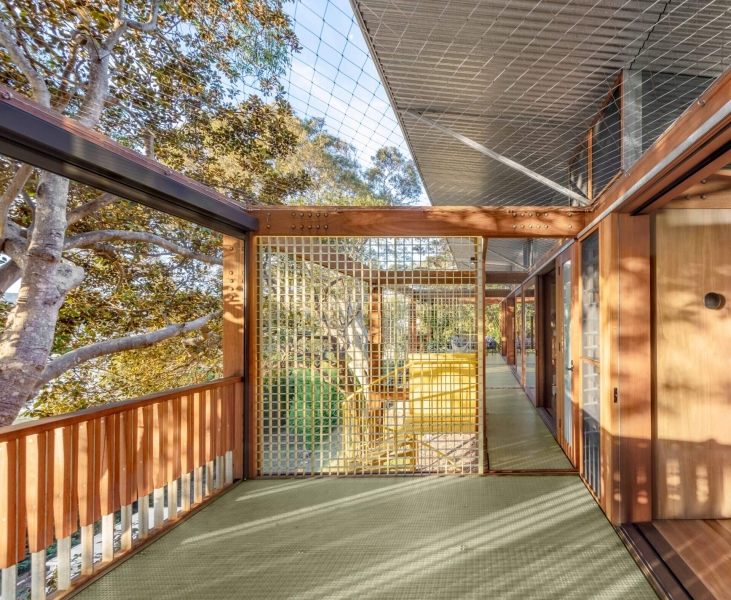 Above the Ground, Among the Leaves: A Modest Prefab Timber Home in the Trees