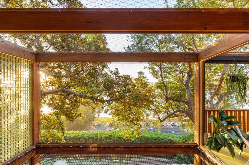 Above the Ground, Among the Leaves: A Modest Prefab Timber Home in the Trees