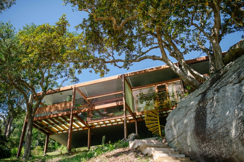 Above the Ground, Among the Leaves: A Modest Prefab Timber Home in the Trees