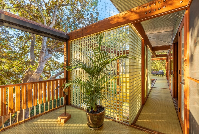 Above the Ground, Among the Leaves: A Modest Prefab Timber Home in the Trees