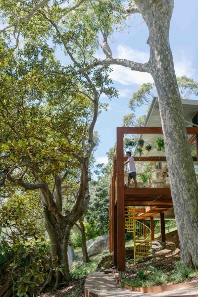 Above the Ground, Among the Leaves: A Modest Prefab Timber Home in the Trees
