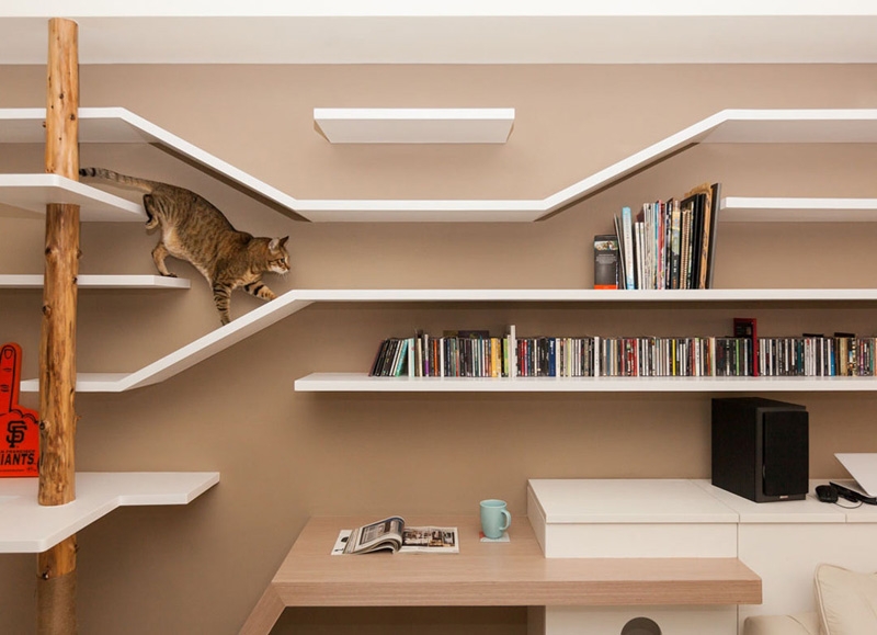 These 4 Homes Are a Cat’s Dream Come True