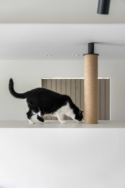 These 4 Homes Are a Cat’s Dream Come True
