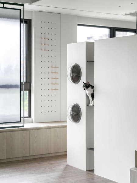 These 4 Homes Are a Cat’s Dream Come True