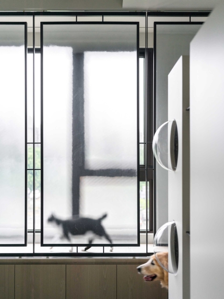 These 4 Homes Are a Cat’s Dream Come True