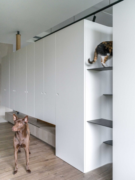 These 4 Homes Are a Cat’s Dream Come True