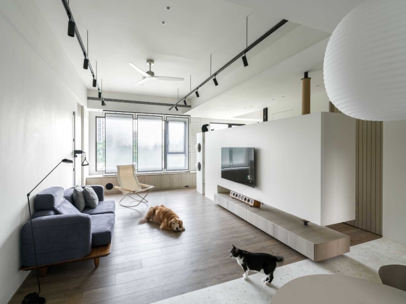 These 4 Homes Are a Cat’s Dream Come True