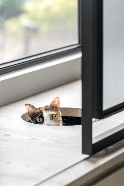 These 4 Homes Are a Cat’s Dream Come True