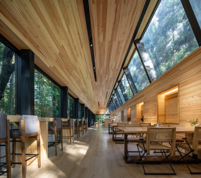 This Chinese Forest Hotel Was Designed to Disappear Into the Trees