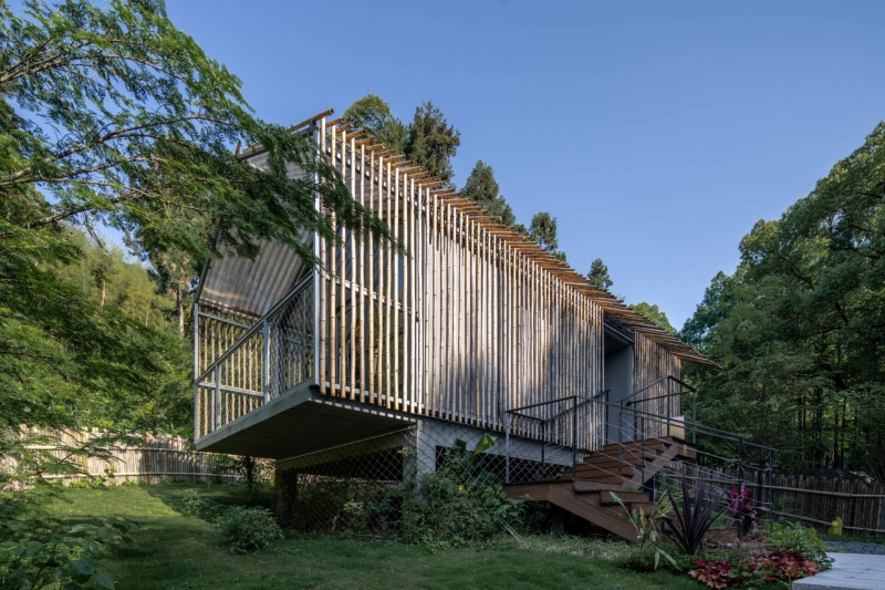 This Chinese Forest Hotel Was Designed to Disappear Into the Trees