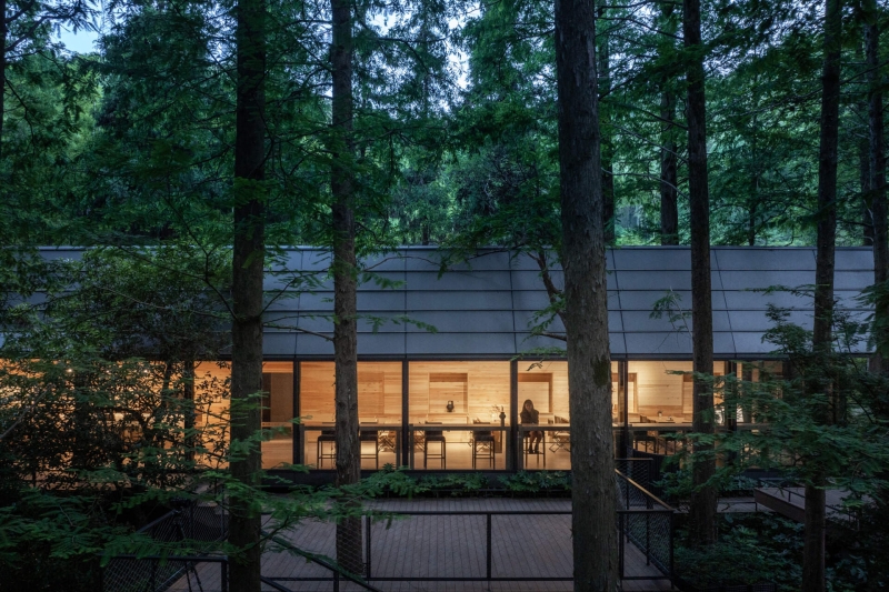 This Chinese Forest Hotel Was Designed to Disappear Into the Trees