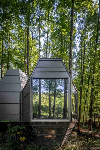 This Chinese Forest Hotel Was Designed to Disappear Into the Trees