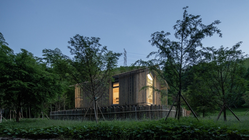 This Chinese Forest Hotel Was Designed to Disappear Into the Trees