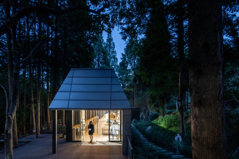 This Chinese Forest Hotel Was Designed to Disappear Into the Trees