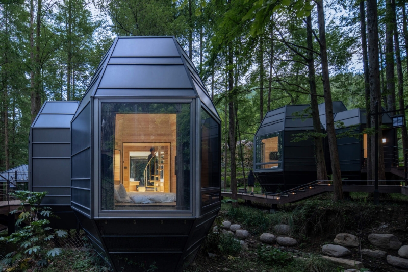 This Chinese Forest Hotel Was Designed to Disappear Into the Trees