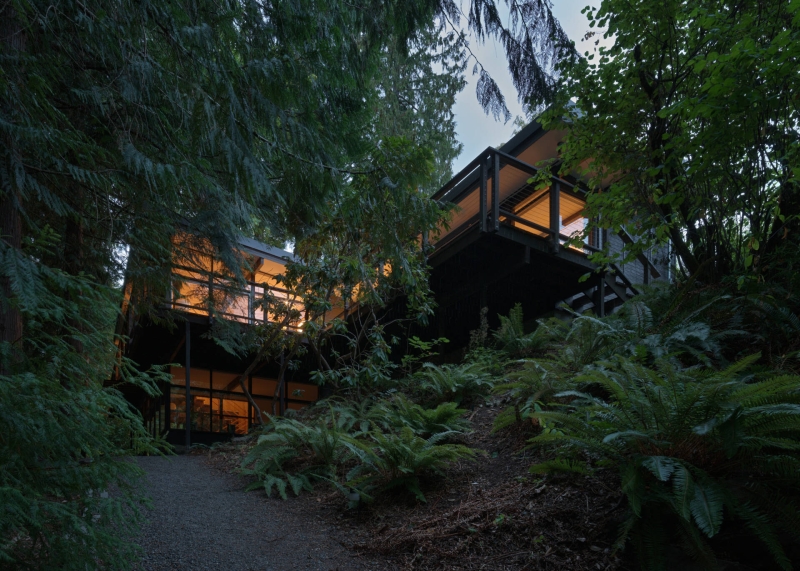 This Mid-Century Modern Home Feels Like a Secret Treehouse in the Forest